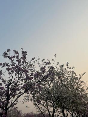 搬空家底去下乡火箭狂飙免费观看