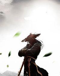 重生喵喵喵